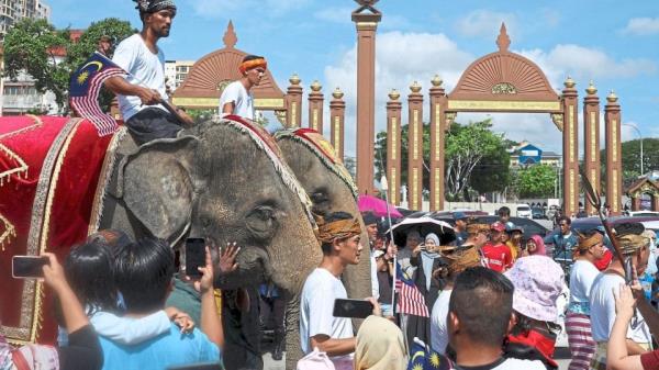 Crowds in Kota Baru cheer as elephants Sanum and Cherry made their appearance during Malaysia Day celebrations at Istana Balai Besar.   (The Star)