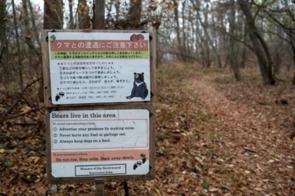 日本北部惊现熊袭惨剧！一人遇难一人失踪，现场触目惊心