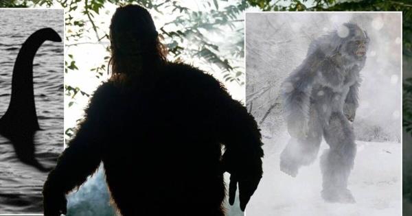 【全球神秘生物调查团成立！】追踪野人、雪怪、尼斯湖水怪的猎人们首次联手，组建