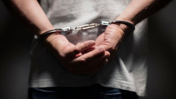 澳洲研究惊人发现：弑亲儿童背后隐藏的残酷真相